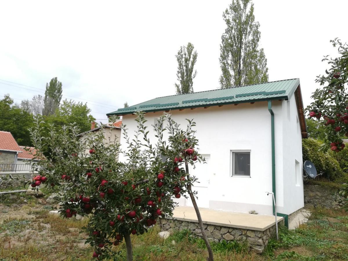 Villa Lila Dolno Dupeni Zewnętrze zdjęcie