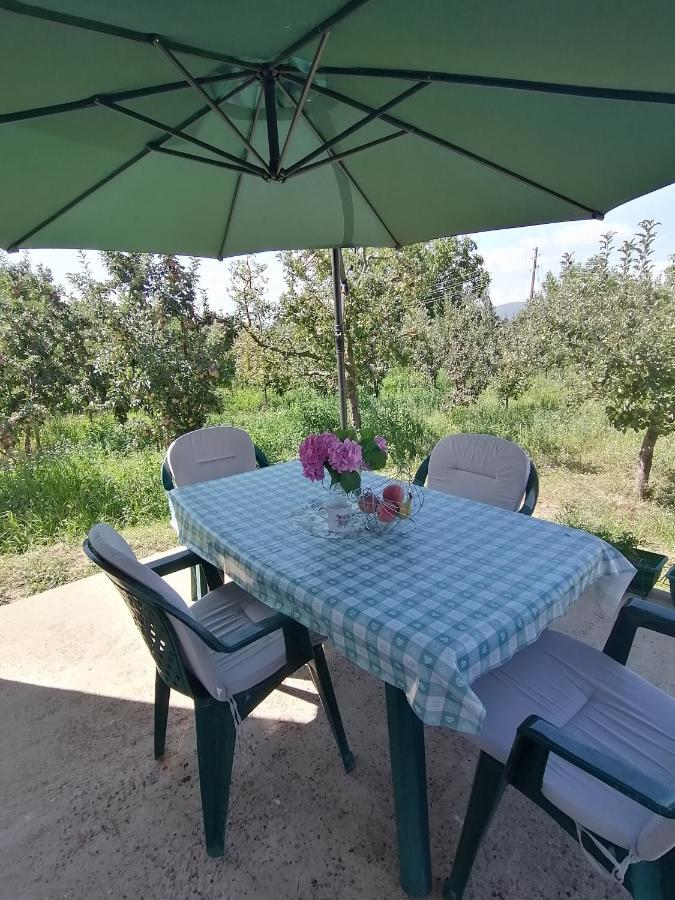Villa Lila Dolno Dupeni Zewnętrze zdjęcie