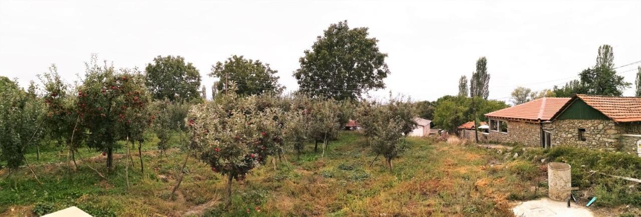 Villa Lila Dolno Dupeni Zewnętrze zdjęcie