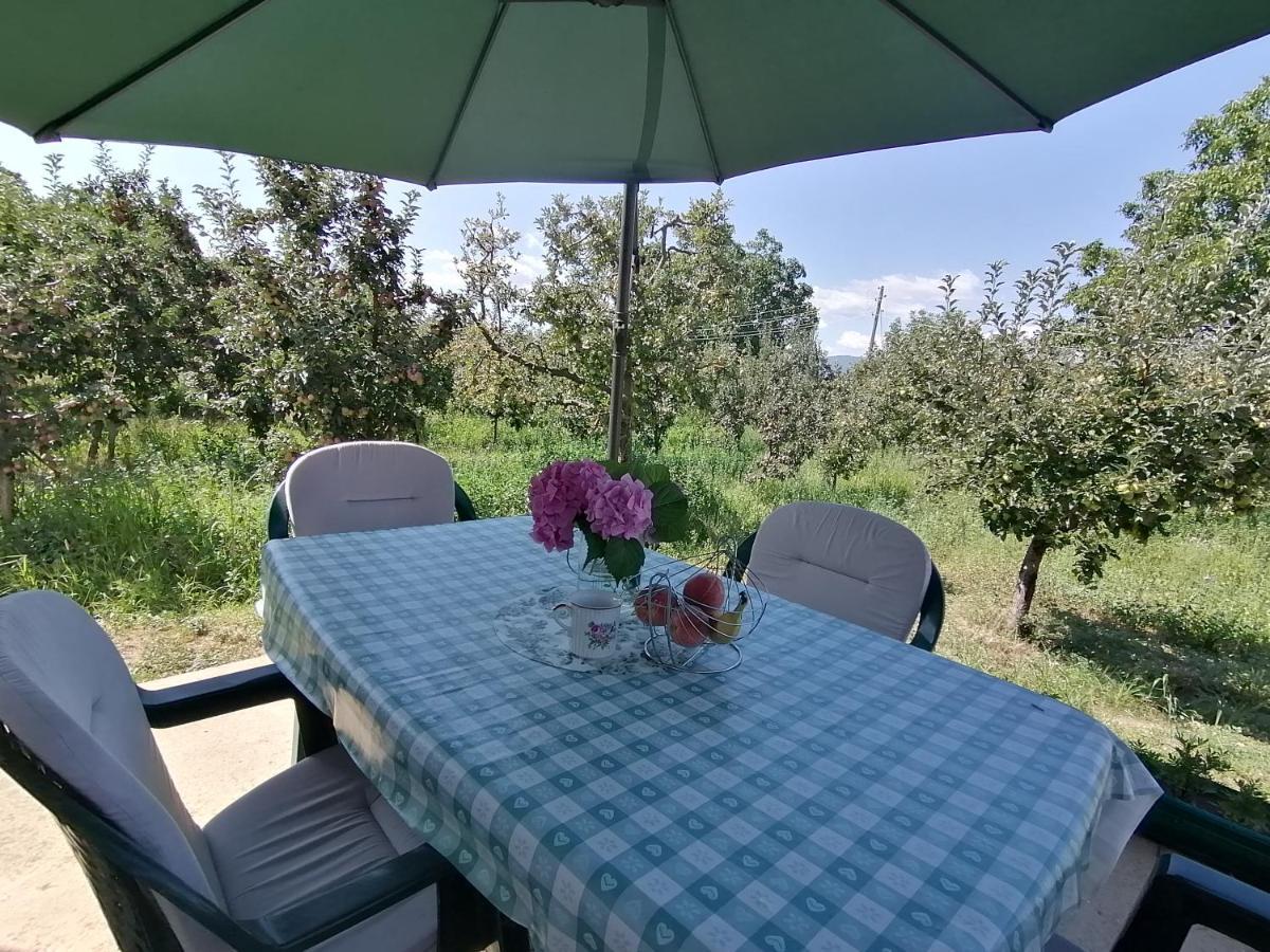 Villa Lila Dolno Dupeni Zewnętrze zdjęcie